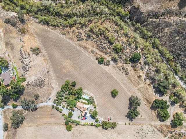 a view of a garden with a pathway