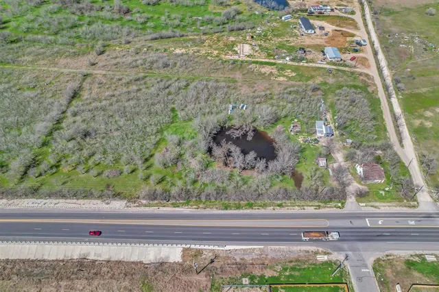 a view of a garden from a window
