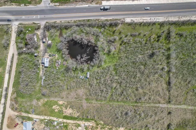 a view of a garden from a window