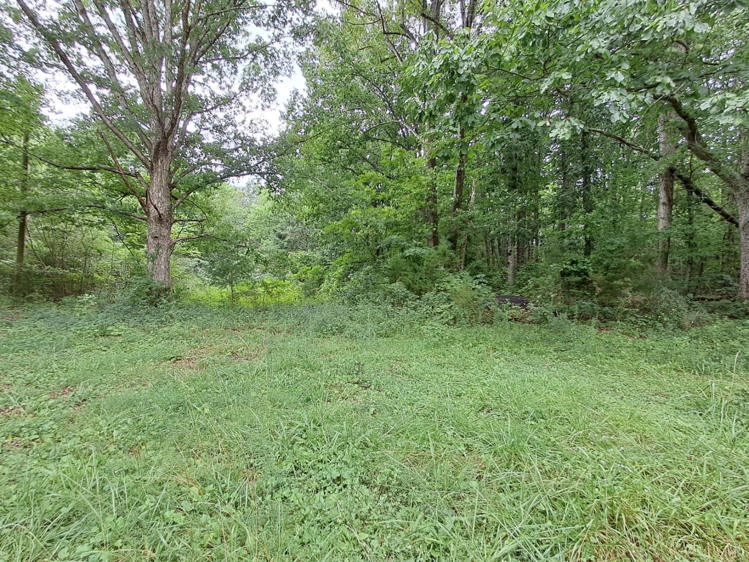 2243 Long Island Road Gladys, VA 24554 - Photo 7 of 27 Gallery Image 7