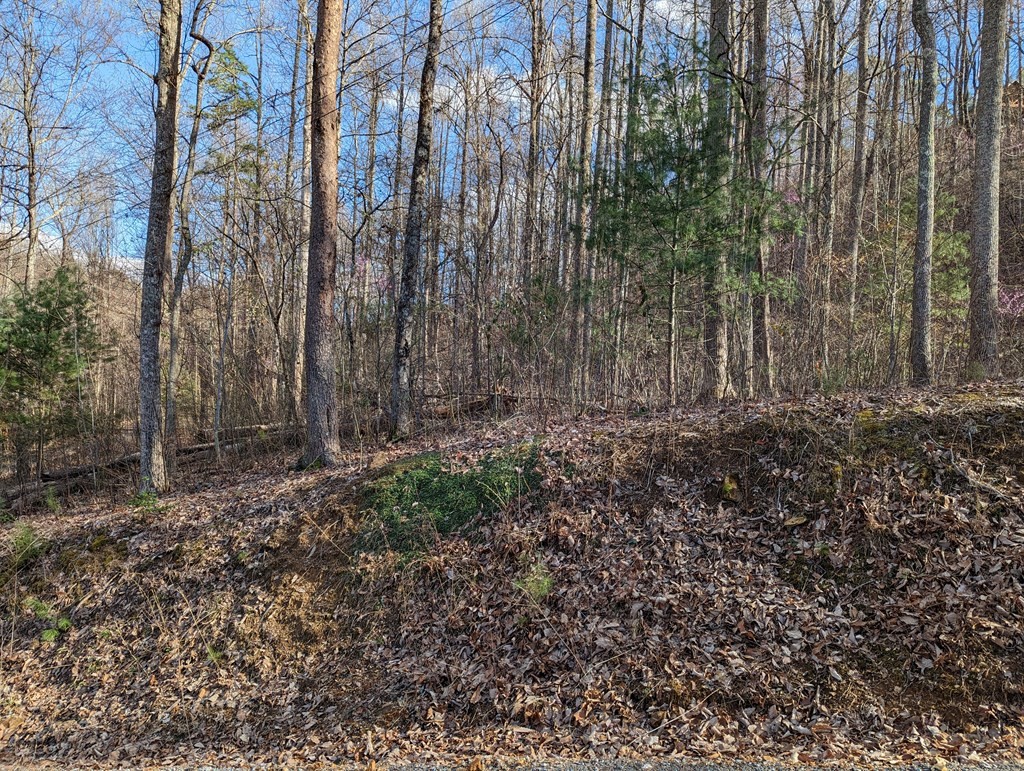 0 Shagbark Hickory Ridge Sevierville, TN 37862 - Photo 4 of 12