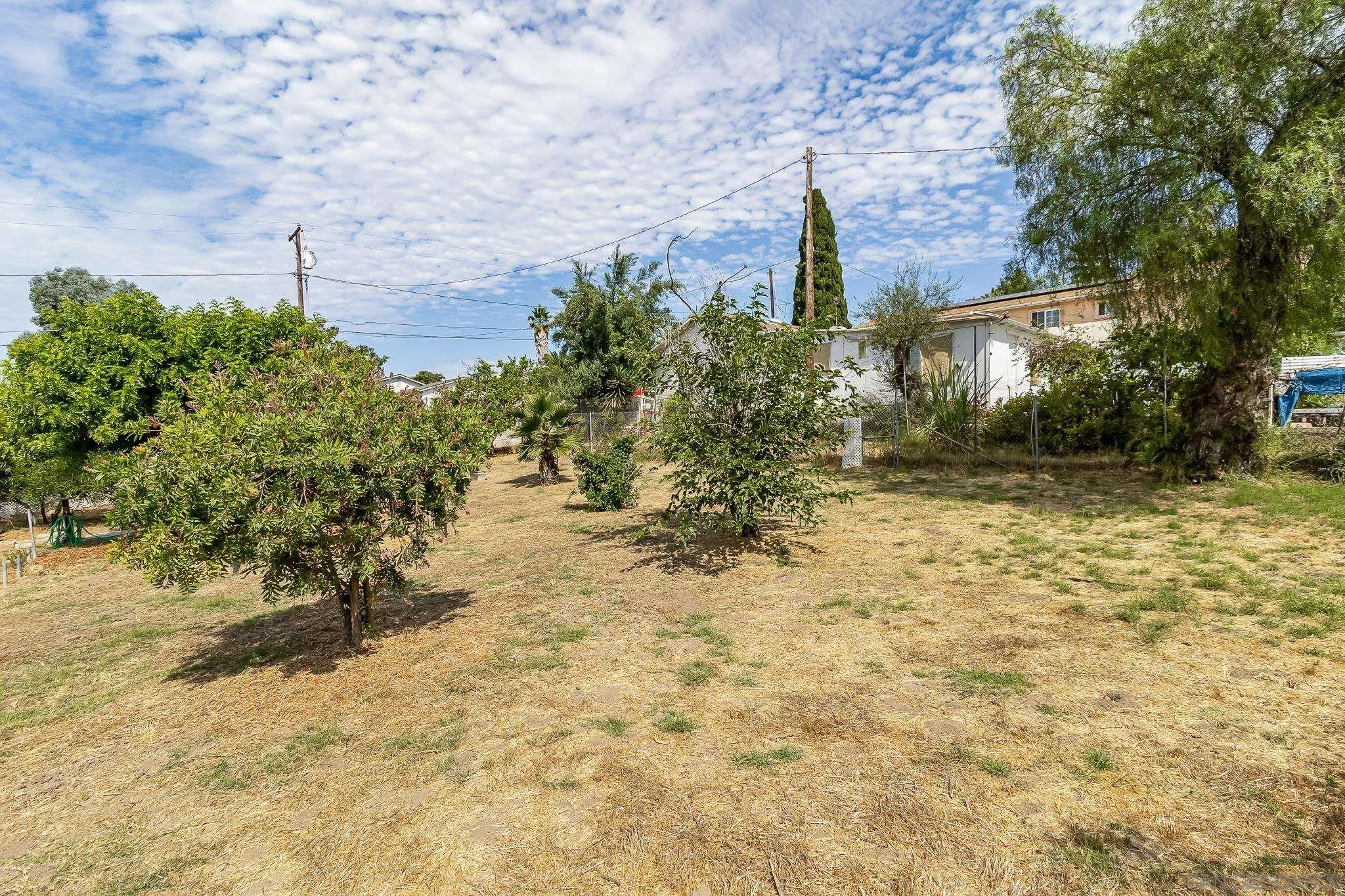 7054 Lisbon Street San Diego, CA 92114 - Photo 29 of 38 a pathway of a yard