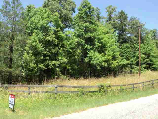 0 Saw Mill Road Gray Court, SC 29645 - Photo 3 of 6 Gallery Image 3