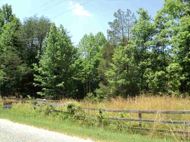 0 Saw Mill Road Gray Court, SC 29645 - Photo 6 of 6 Gallery Image 6