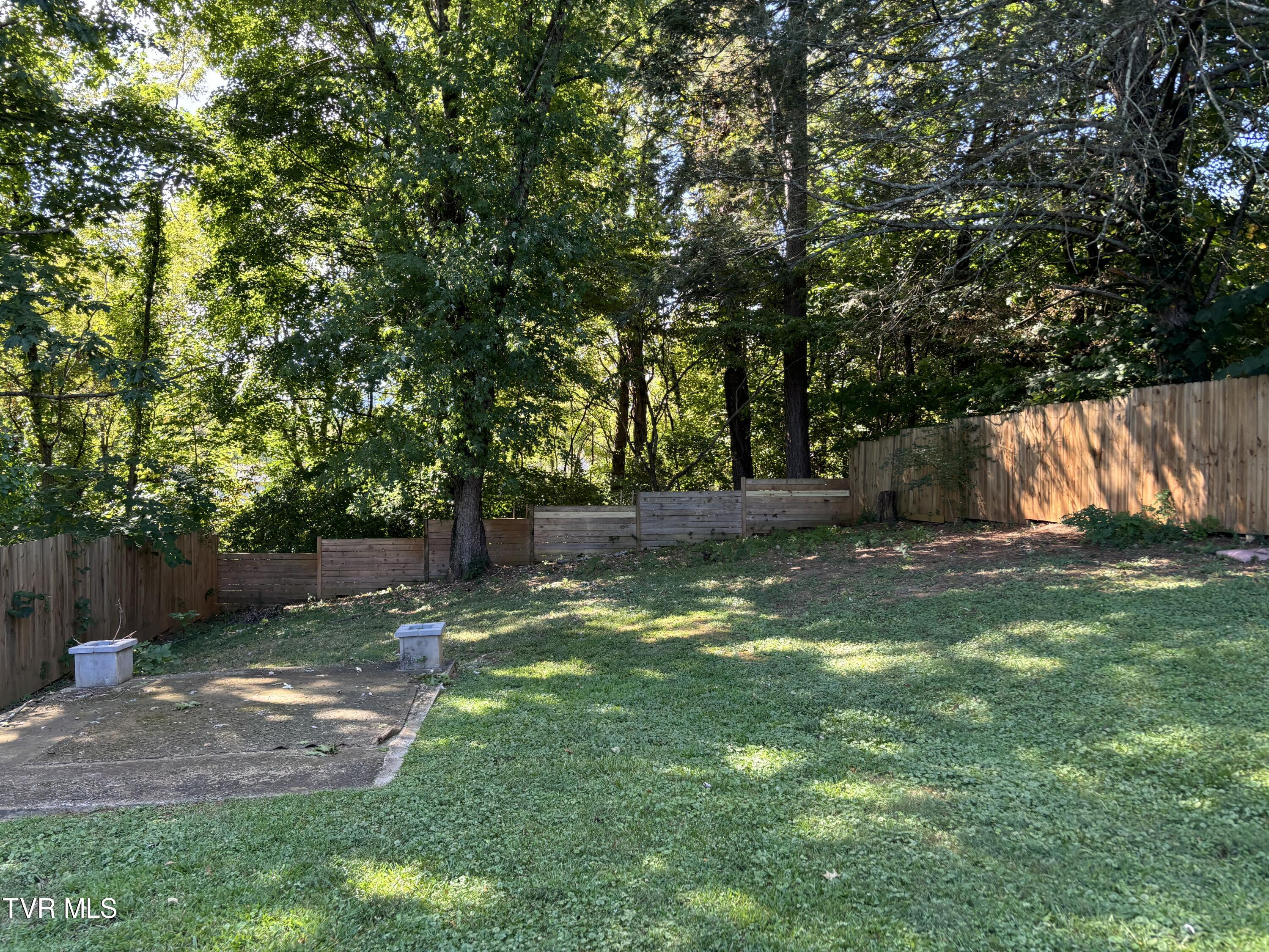 2703 West Walnut Street, Unit 8 Johnson City, TN 37604 - Photo 9 of 24 Backyard