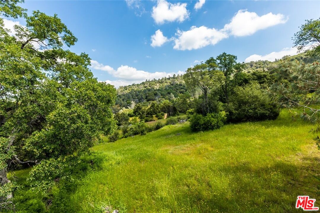 4132 Usona Road Mariposa, CA 95338 - Photo 12 of 26 a view of a yard with an trees
