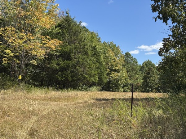 0 Richland Ridge Road Waverly, TN 37185 - Photo 14 of 57
