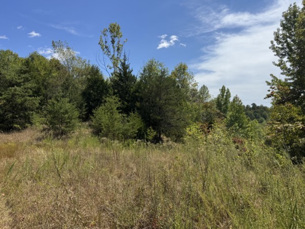 0 Richland Ridge Road Waverly, TN 37185 - Photo 16 of 57