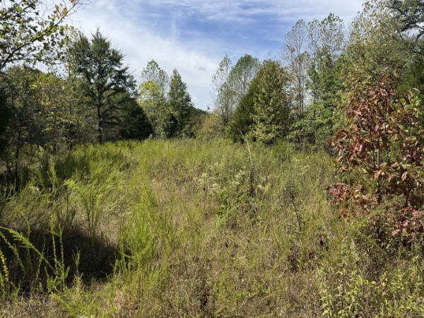 0 Richland Ridge Road Waverly, TN 37185 - Photo 18 of 57