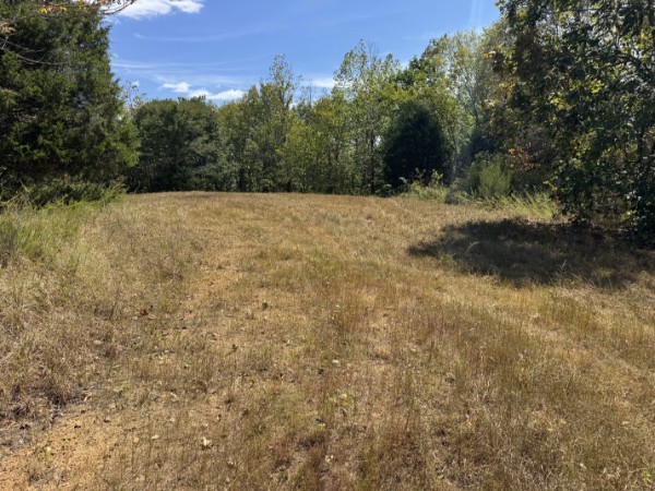 0 Richland Ridge Road Waverly, TN 37185 - Photo 24 of 57