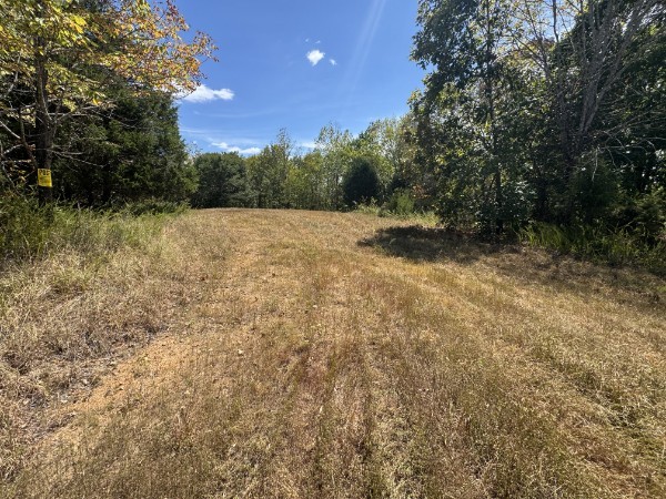0 Richland Ridge Road Waverly, TN 37185 - Photo 25 of 57