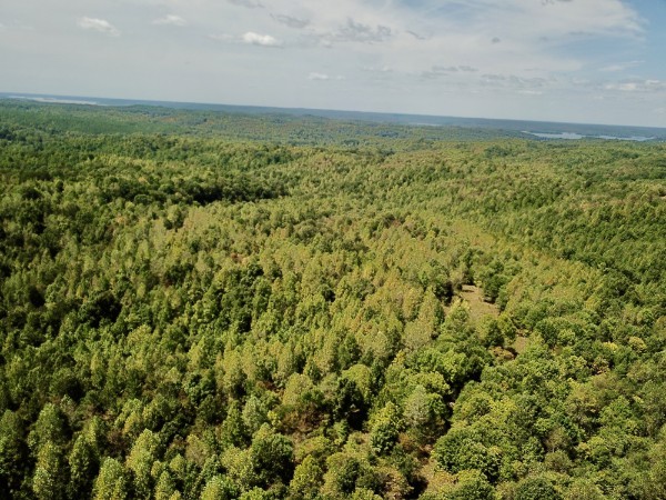 0 Richland Ridge Road Waverly, TN 37185 - Photo 26 of 57