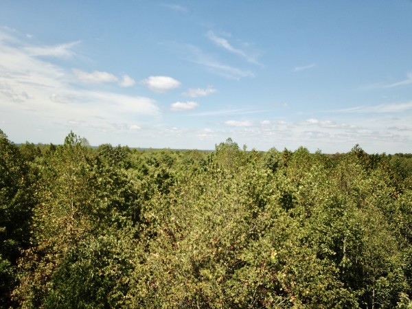 0 Richland Ridge Road Waverly, TN 37185 - Photo 27 of 57