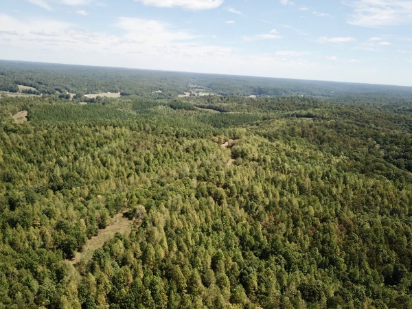 0 Richland Ridge Road Waverly, TN 37185 - Photo 29 of 57
