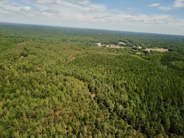 an aerial view of residential houses with outdoor space and trees