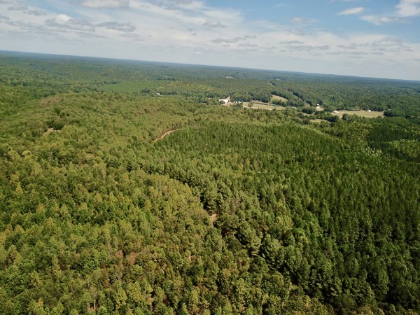 0 Richland Ridge Road Waverly, TN 37185 - Photo 30 of 57