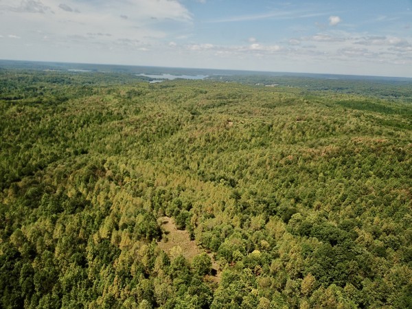 0 Richland Ridge Road Waverly, TN 37185 - Photo 31 of 57