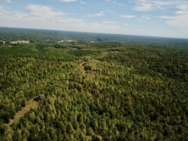 0 Richland Ridge Road Waverly, TN 37185 - Photo 35 of 57