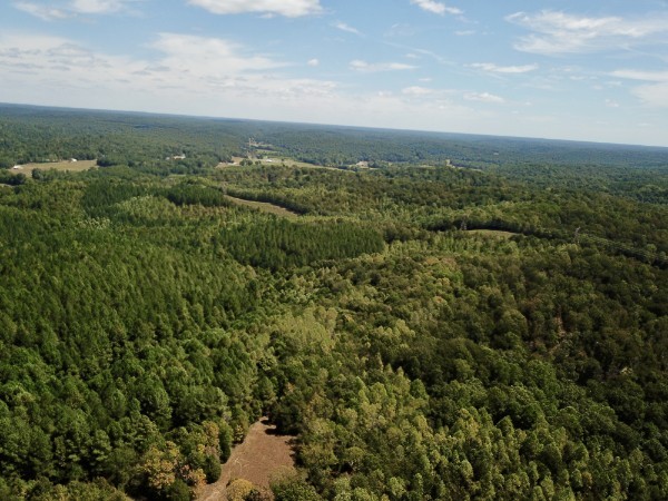 0 Richland Ridge Road Waverly, TN 37185 - Photo 38 of 57