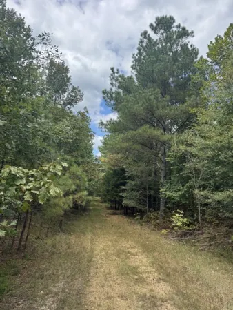 a view of a building with potted plants