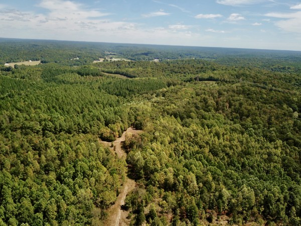 0 Richland Ridge Road Waverly, TN 37185 - Photo 5 of 57