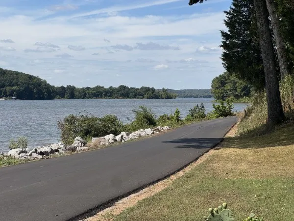 a view of a lake with a city view