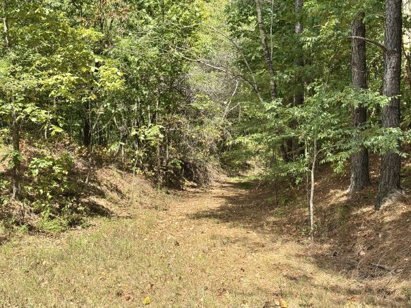 0 Richland Ridge Road Waverly, TN 37185 - Photo 10 of 57