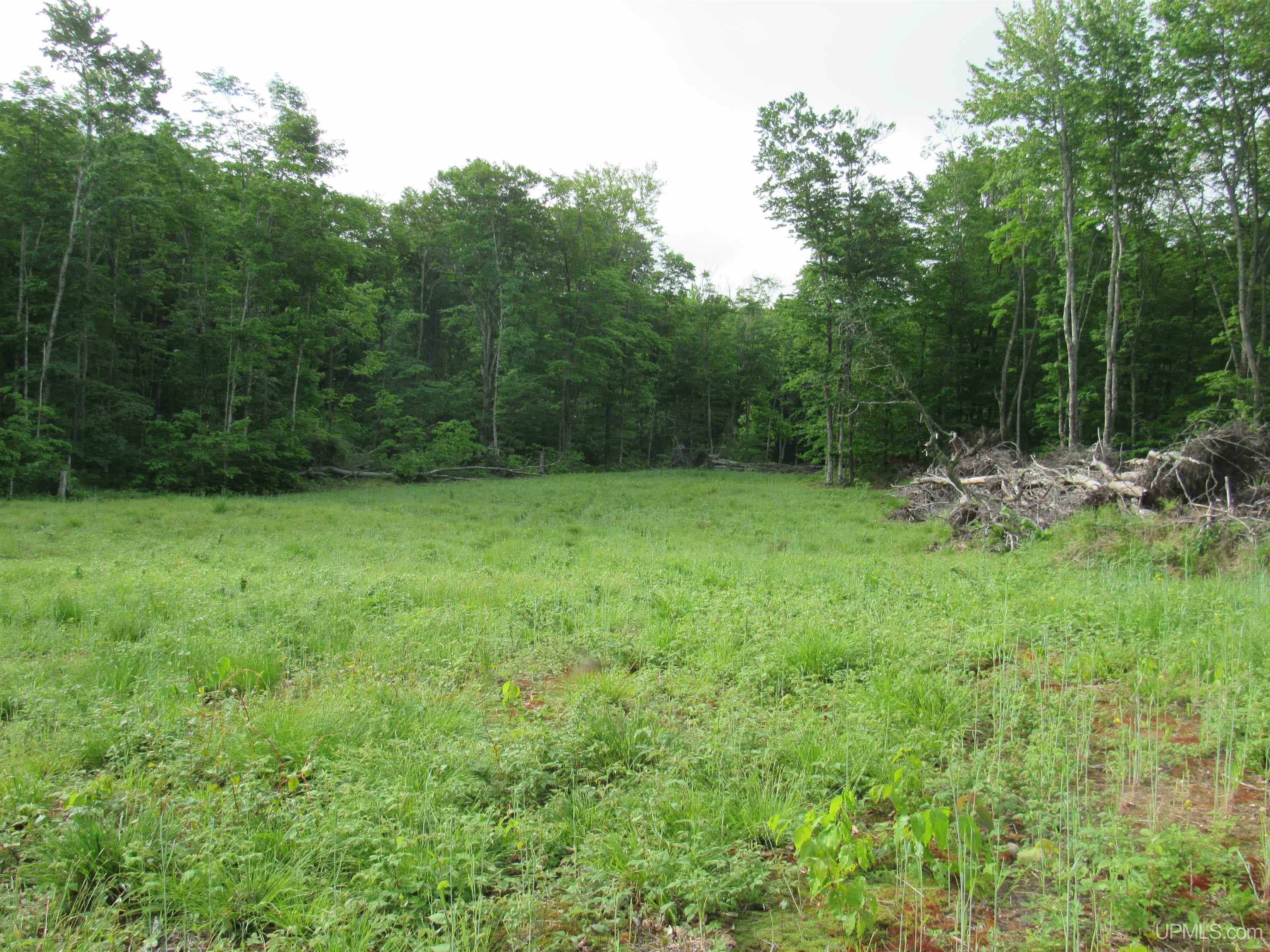 Tbd Tbd Sigan Camp Road Seney, MI 49883 - Photo 24 of 41