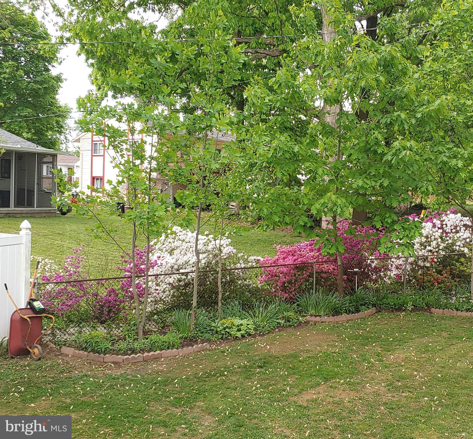 6111 Collinsway Road Baltimore, MD 21228 - Photo 35 of 36 Spring blossoms