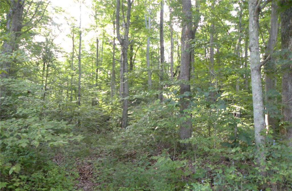 8059 Ritter Road Morgantown, IN 46160 - Photo 1 of 6 Gallery Image 1