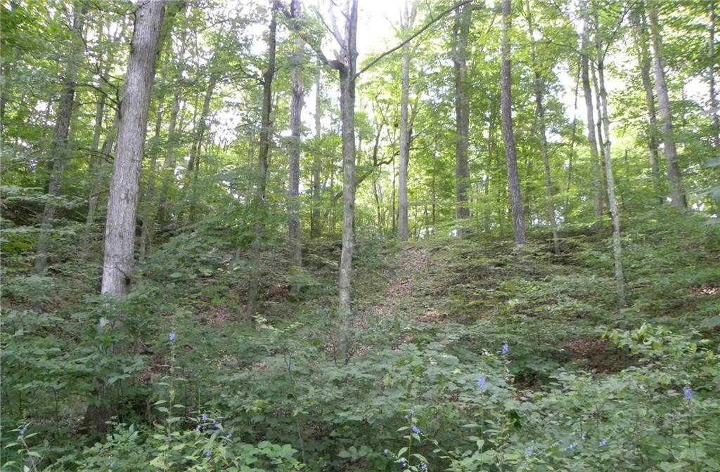 8059 Ritter Road Morgantown, IN 46160 - Photo 3 of 6 Gallery Image 3