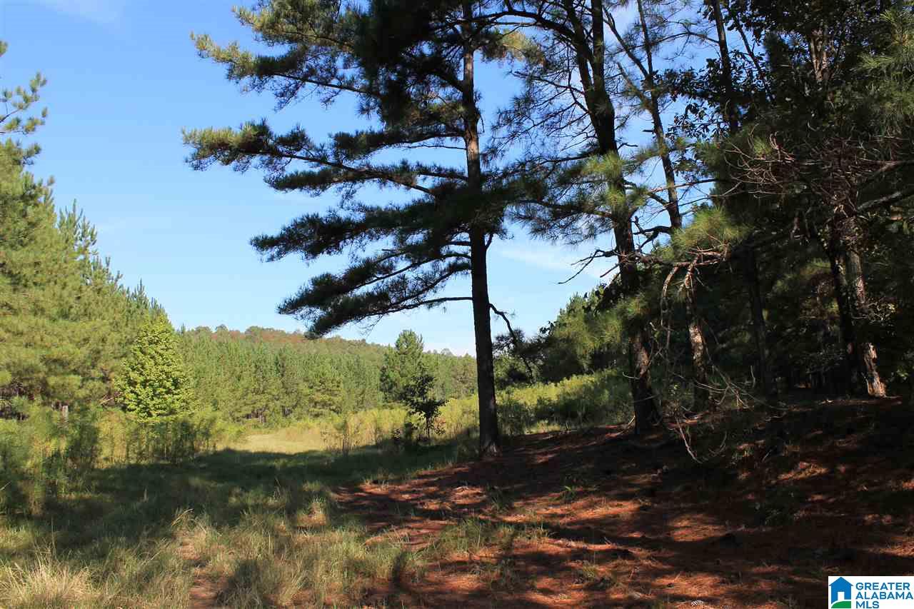 2180 Logan Martin Dam Road Alpine, AL 35014 - Photo 8 of 11 Gallery Image 8