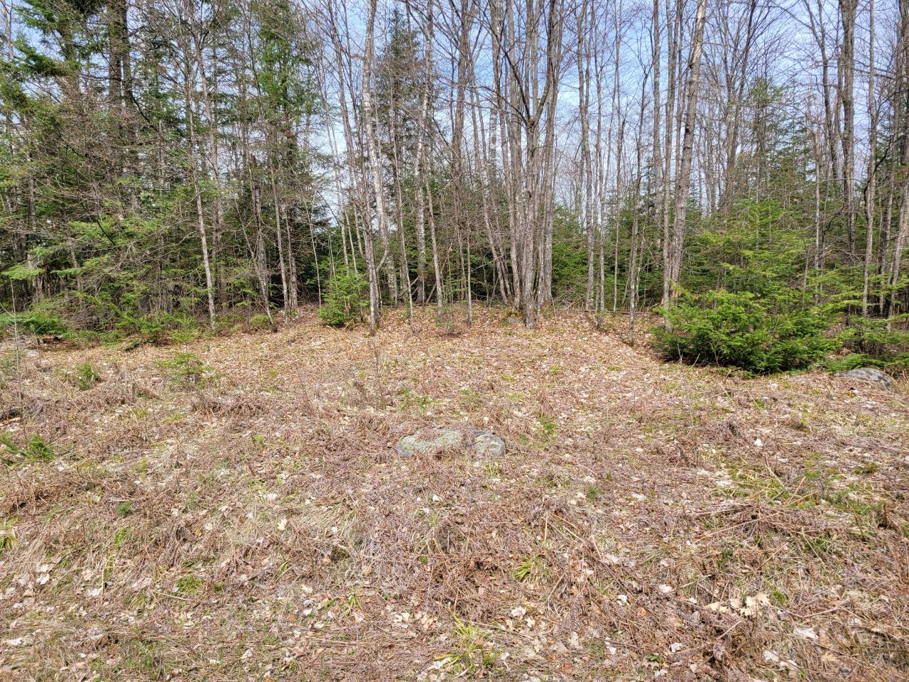 On On Ripco Road, Unit LOT #2 Eagle River, WI 54521 - Photo 3 of 3 Gallery Image 3