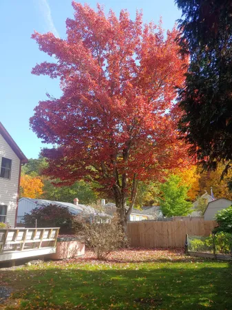 $475,000 | 24 Laurel Street, Brattleboro, VT 05301