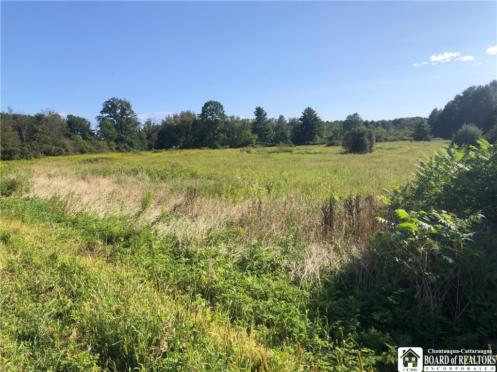 0 Gerry Levant Road Falconer, NY 14733 - Photo 1 of 1