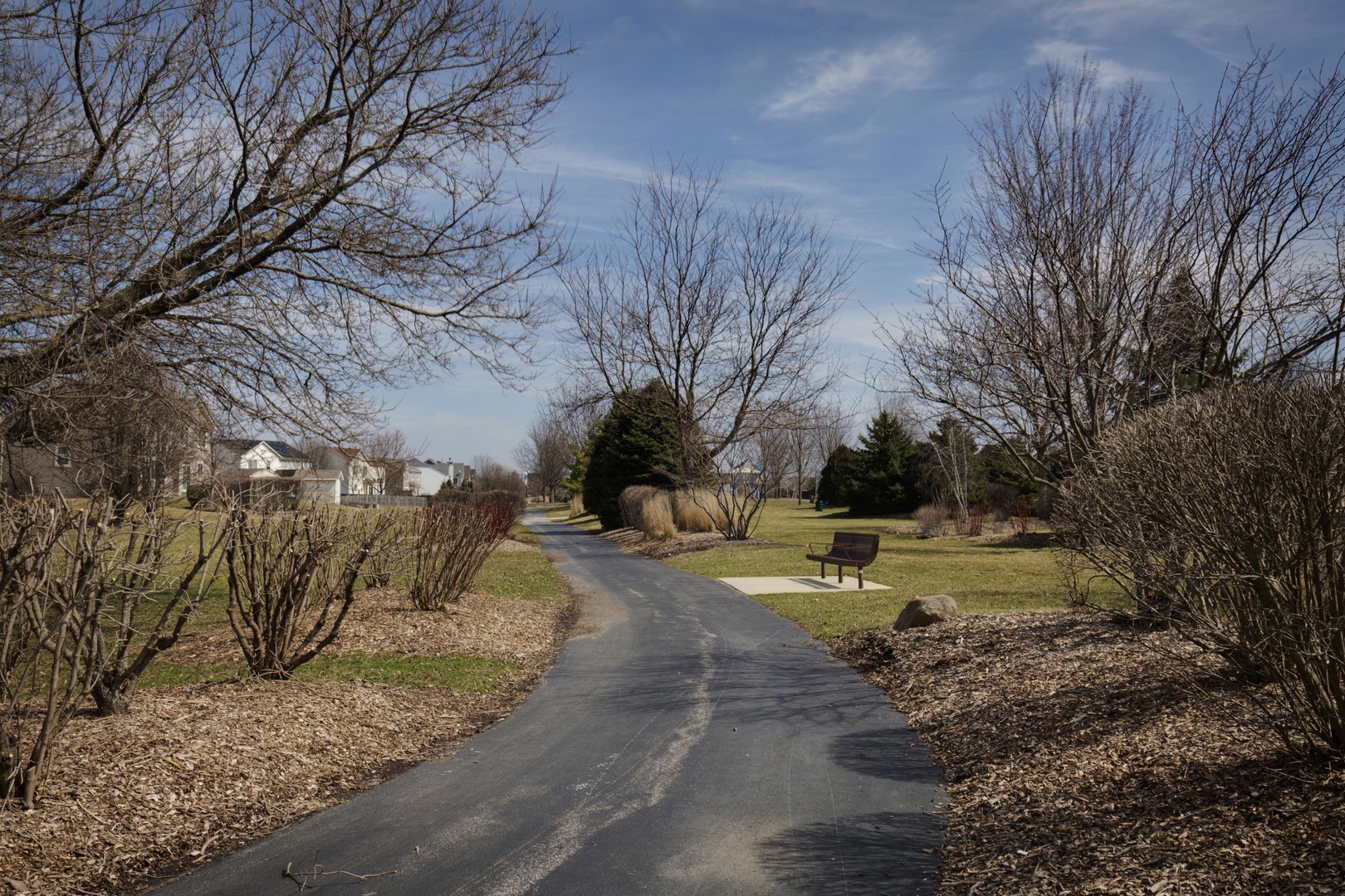 9610 Newton Road Huntley, IL 60142 - Photo 23 of 23 a view of a yard with plants and trees