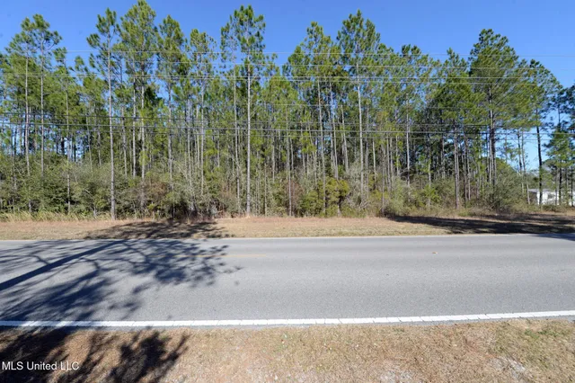 $62,000 | Poticaw Bayou Road, Vancleave, MS 39565