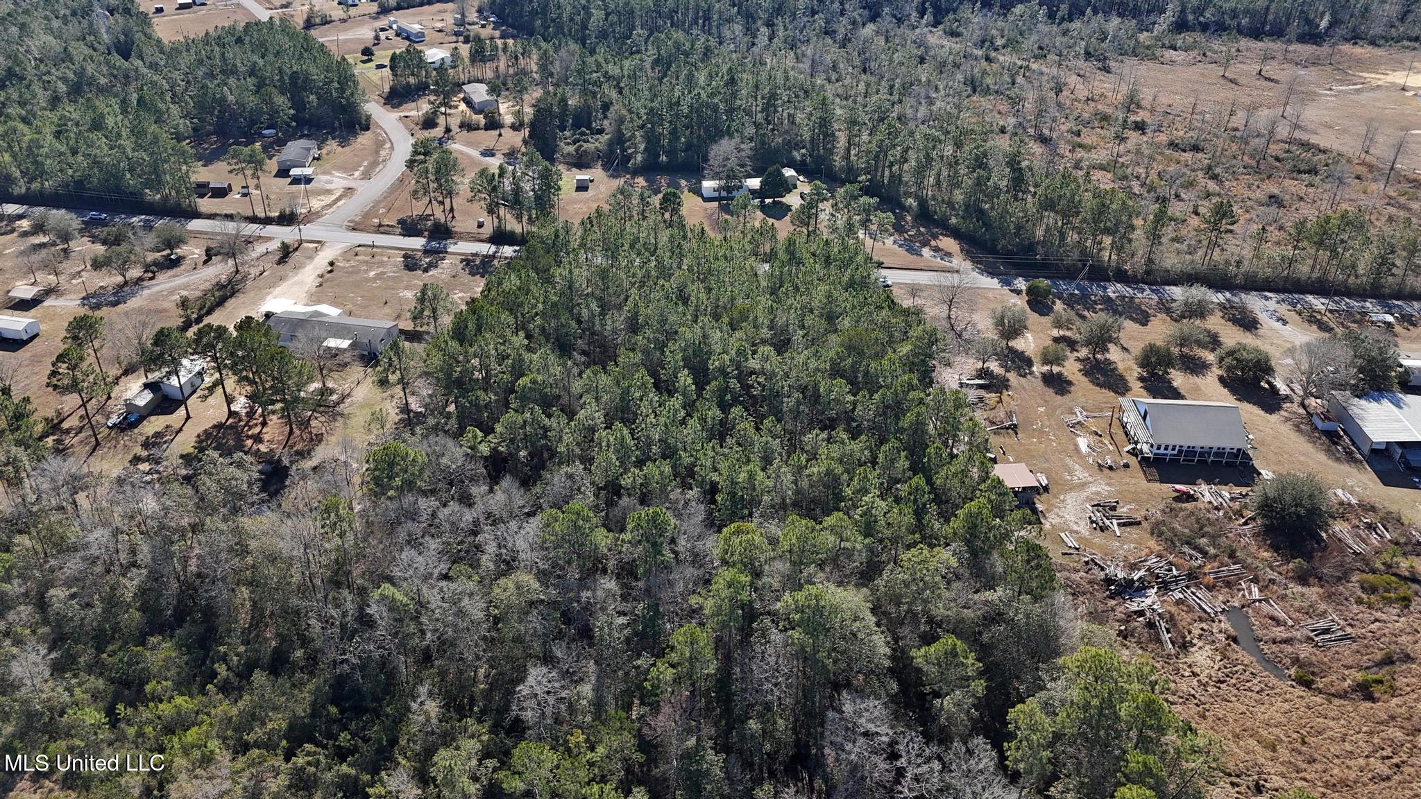 Poticaw Bayou Road Vancleave, MS 39565 - Photo 8 of 11 007