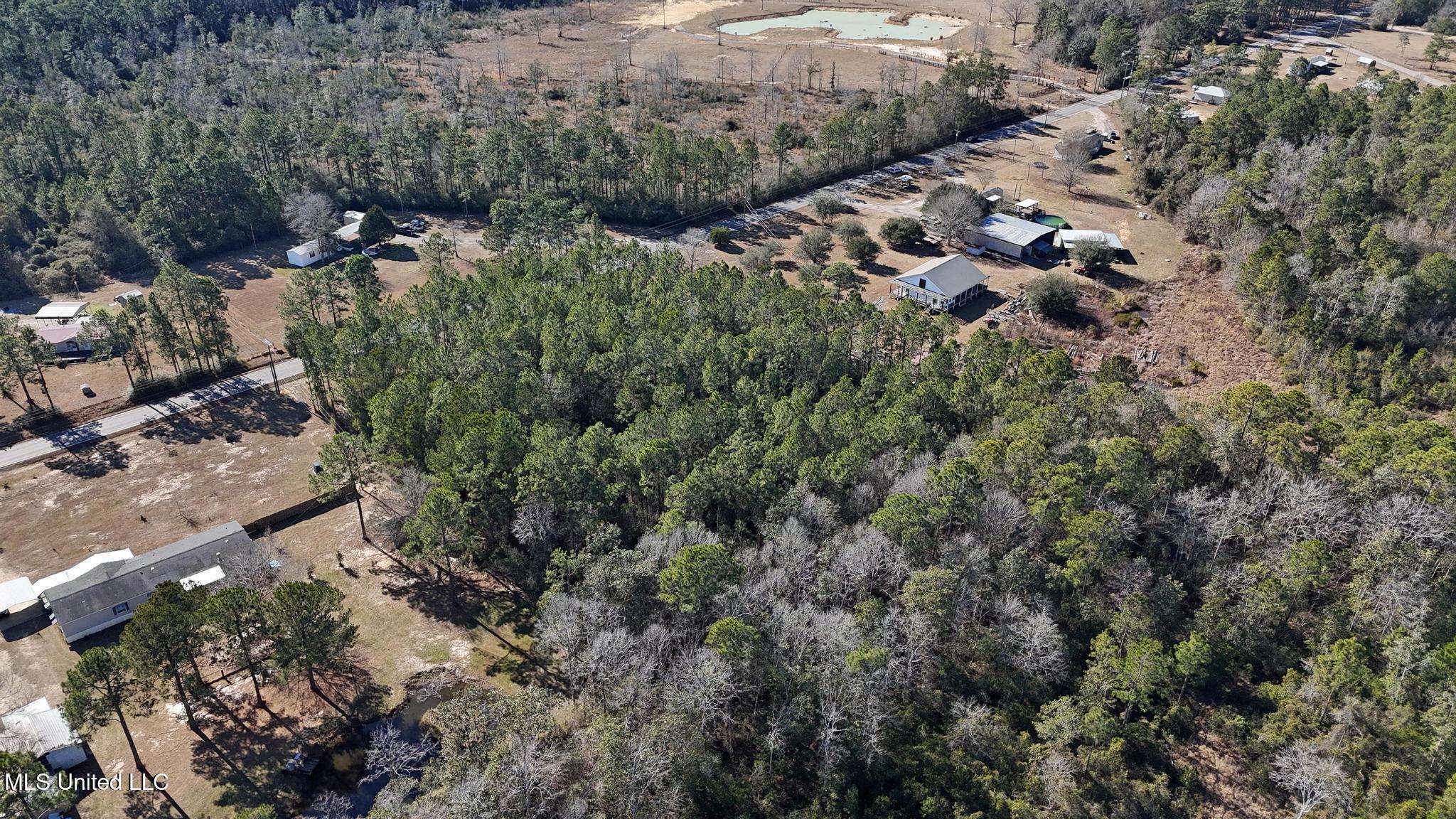 Poticaw Bayou Road Vancleave, MS 39565 - Photo 9 of 11 008