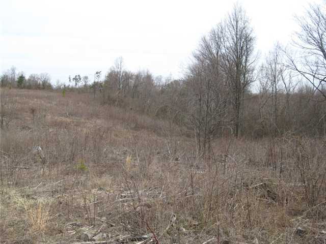 0 John Hoops Road Jackson, OH 45640 - Photo 4 of 10