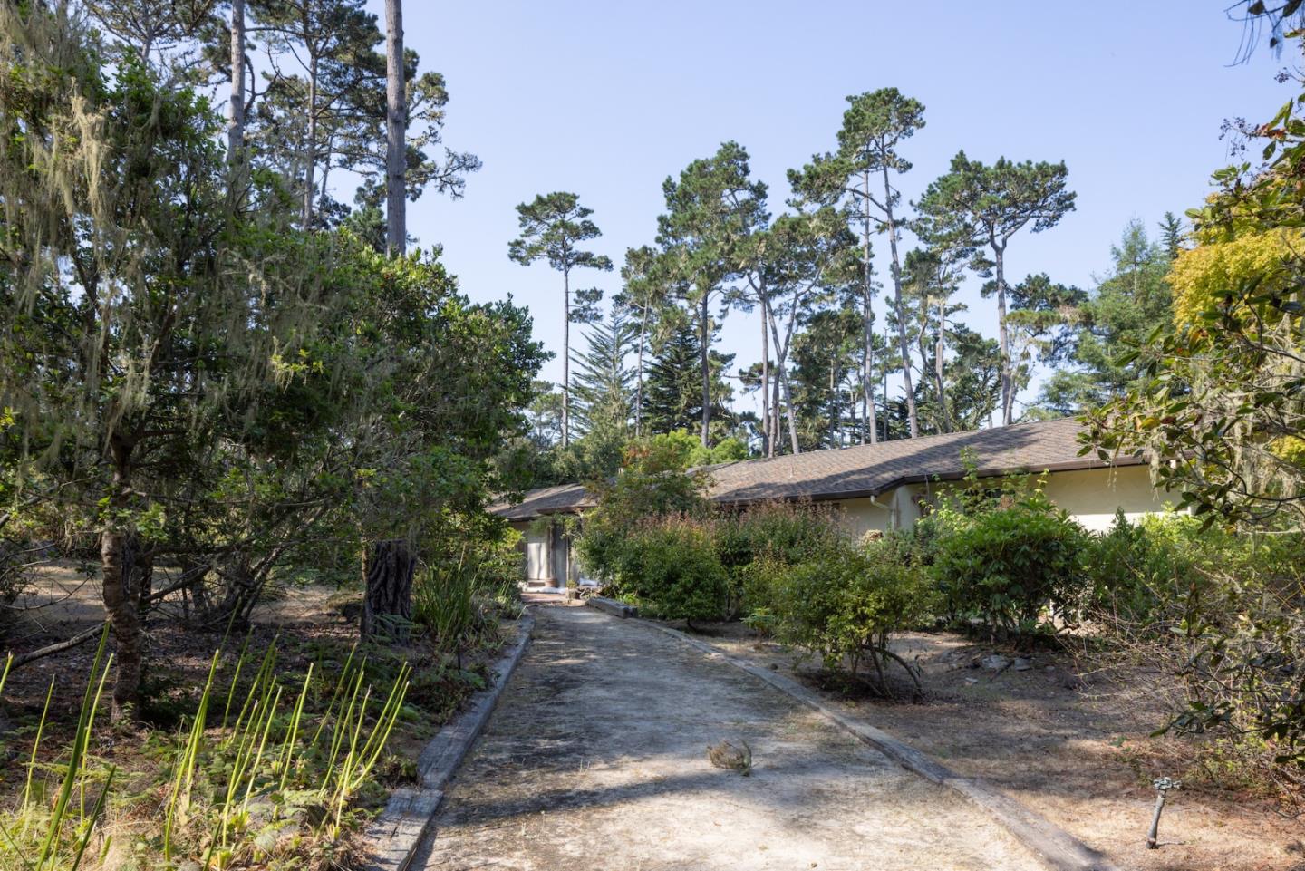 3171 Forest Lake Road Pebble Beach, CA 93953 - Photo 7 of 17 a backyard of a house with lots of green space