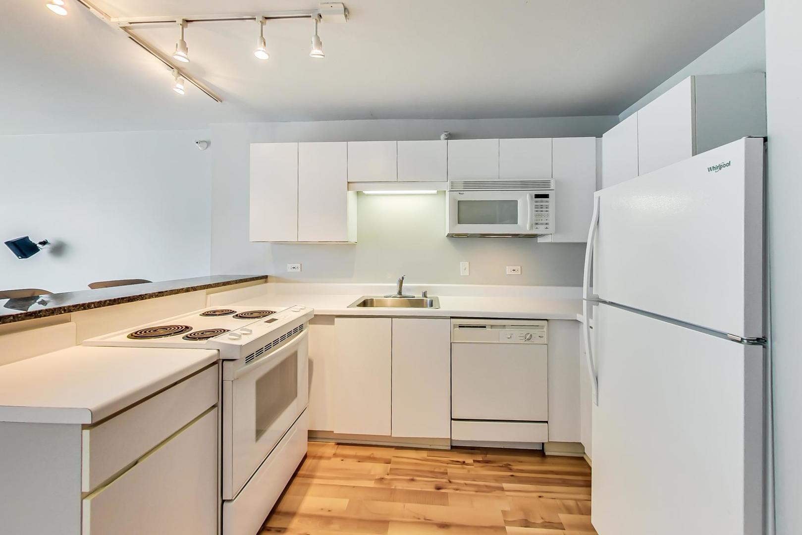 2 East Erie Street, Unit 2204 Chicago, IL 60611 - Photo 9 of 19 a kitchen with a stove a refrigerator and a sink
