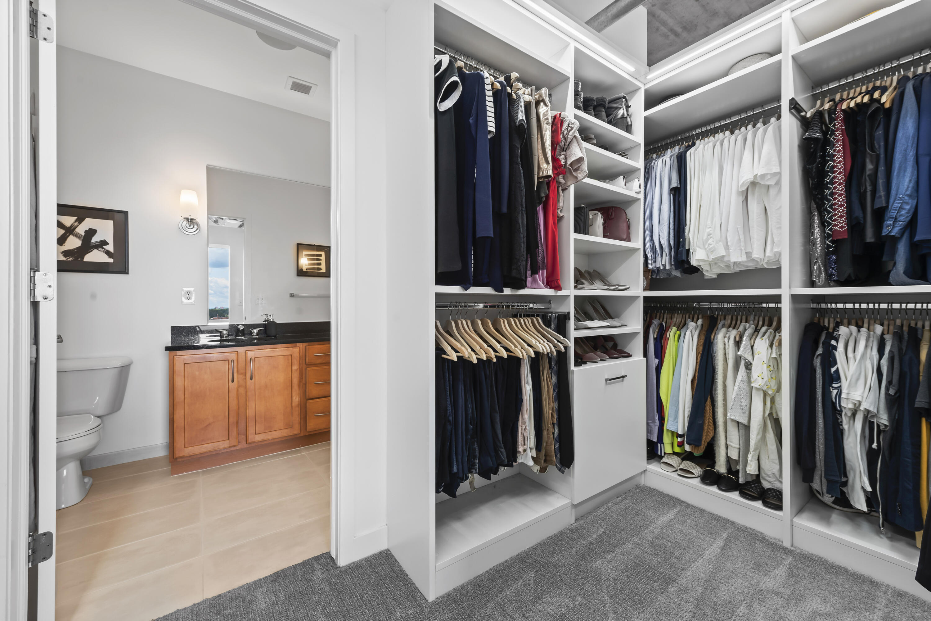 350 North Main Street, Unit 716 Royal Oak, MI 48067 - Photo 15 of 35 Primary Custom Closet