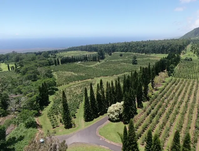 a view of a lake with a yard