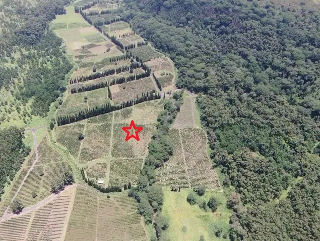 a view of a lake with houses