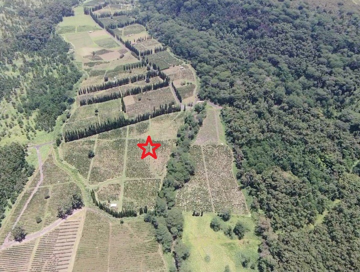 19 Lot Pahala, HI 96777 - Photo 11 of 22 a view of entryway