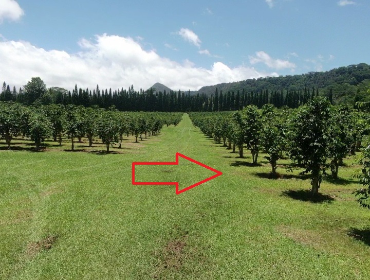 19 Lot Pahala, HI 96777 - Photo 13 of 22 a view of a lake with houses