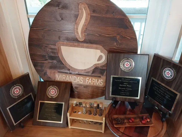 a view of a lush green field with a tree in the background
