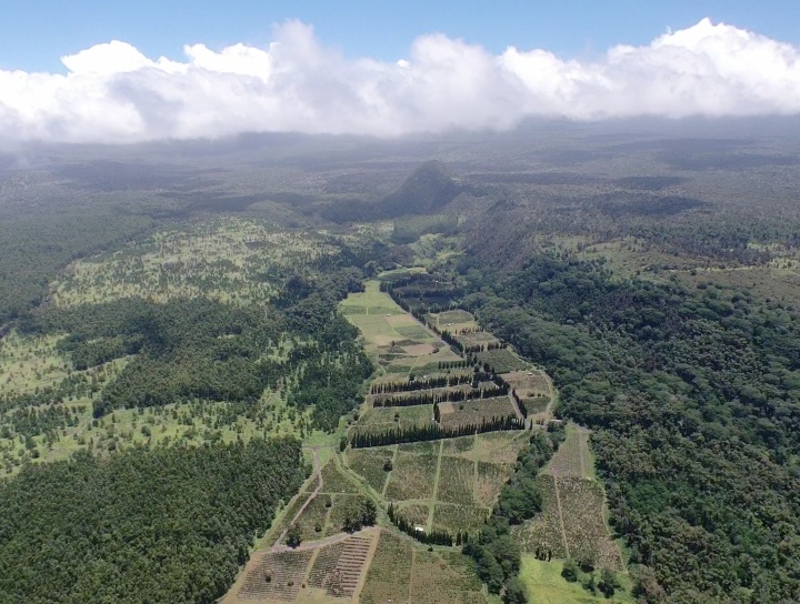19 Lot Pahala, HI 96777 - Photo 2 of 22 a view of a yard