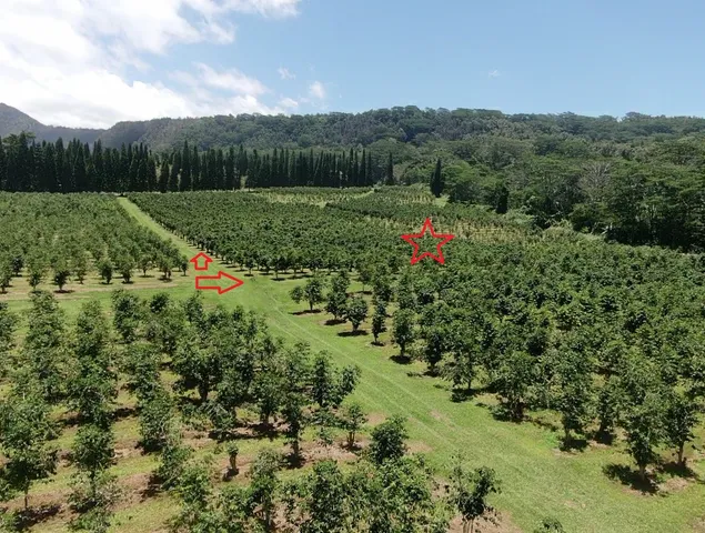 $575,000 | 19 Lot, Pahala, HI 96777